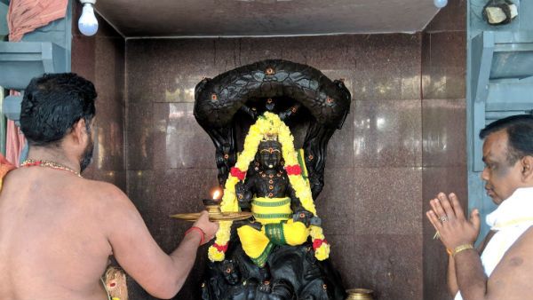 ஸ்ரீ தன்வந்திரி பீடத்தில் யாகத்திருவிழா ஆரோக்யம், ஐஸ்வர்யம் தரும் ஹோமங்கள்