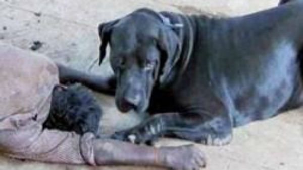 ஒரே நாளில் எல்லோரையுமே உலுக்கி எடுத்த படம்.. மனிதம் இன்னும் மரணிக்கவில்லை!