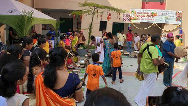 சிங்கப்பூரில் களைகட்டிய பொங்கல் விழா - சிலம்பாட்டம், ஒயிலாட்டம், கோலாட்டம் அசத்தல்