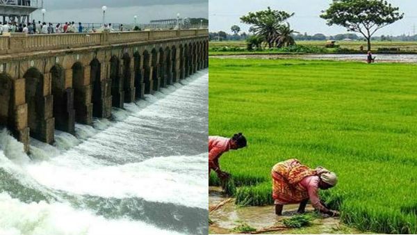 காவிரி டெல்டா- பாதுகாக்கப்பட்ட வேளாண் மண்டலமாக அறிவிக்க தமிழக அமைச்சரவை ஒப்புதல்