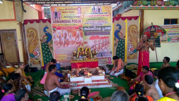 ராஜ போக வாழ்க்கை தரும் அஸ்வமேத பூஜை கோலாகலம் - பக்தர்கள் பங்கேற்பு