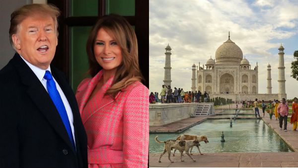 நாறும் யமுனை.. 