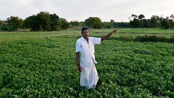 கூட்டுறவு வங்கிகளில் பயிர் கடன் வாங்கியிருக்கீங்களா.. பட்ஜெட்டில் விவசாயிகளுக்கு முக்கிய அறிவிப்பு
