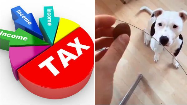 புதிய வருமான வரி ஆப்ஷனால் நமக்கு கிடைக்கப்போவது என்ன? ஆஹா..ஒரே வீடியோ.. எல்லாம் சொல்லிடுச்சே