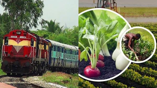 பட்ஜெட் 2020: விவசாயிகள் காய்கறி-பழங்களை விற்பனைக்கு கொண்டு செல்ல 'கிஸான் ரயில்' அறிமுகம்!