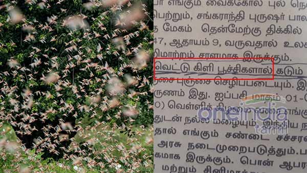 இந்தியாவை பலமாக நாசமாக்க படையெடுக்கும் வெட்டுக்கிளிகள்- எச்சரிக்கும் பஞ்சாங்கம்