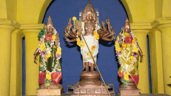 தைப்பூச திருவிழா - பழனி முருகன் கோவிலில் இன்று திருக்கல்யாணம் நாளை தேரோட்டம்