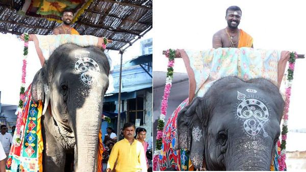 மாசித்திருவிழா கோலாகலம் - திருச்செந்தூர் திருவெற்றியூரில் தேரோட்டம் திருக்கல்யாணம் 