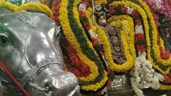 தைப்பூச நாளில் திருவிடைமருதூர் மகாலிங்கசாமியை தரிசனம் பண்ணுங்க - பிரம்மஹத்தி தோஷம் நீங்கும்