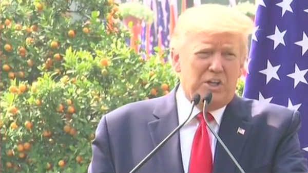 அமெரிக்காவின் அப்பாச்சி, ரோமியோ ஹெலிகாப்டர்களை இந்தியாவுக்கு தர ஒப்பந்தம்.. டிரம்ப் அதிரடி அறிவிப்பு