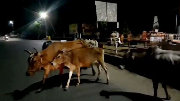 144 தடை எங்களுக்கு இல்லை.. அப்படித்தான் சுற்றுவோம்.. போலீஸுக்கே சவால் விடும் 