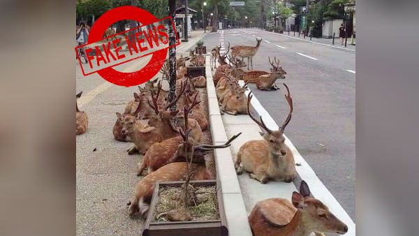 என்னாது.. ஊட்டியில்.. நடுரோட்டில் மான்கள் லூட்டியா.. ரணகளத்திலும்.. ஏன்டாப்பா இப்டி கிளப்பி விடறீங்க