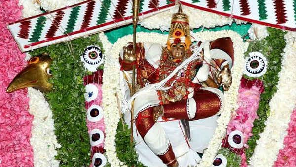 மாசி திருவிழா - திருச்செந்தூரில் சிவப்பு, வெள்ளை, பச்சை சாத்தி வந்த சண்முகர் 