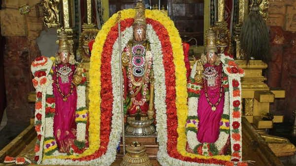 பங்குனி பிரம்மோற்சவம் 2020: கருடவாகனத்தில் வலம் வந்த பெருமாளை தரிசித்த பக்தர்கள்