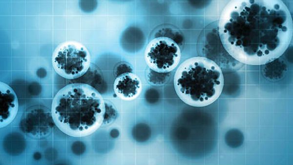 உடைகளில் வைரஸ்கள் உயிர் வாழுமா? ஆய்வுகள் சொல்வது என்ன?