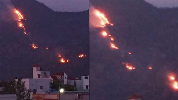 கண்ணே தெரியலை.. அப்பிய புகை.. காட்டு தீயில் சிக்கிய வாயில்லா ஜீவன்கள்.. அனலில் கொடைக்கானல்!