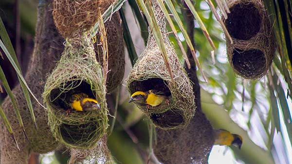 அன்பு சூழ் உலகு