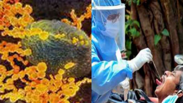 பல்லிளித்த ரேபிட் டெஸ்ட் கிட்டுகள்.. தமிழகத்திலும் சோதனைகள் நிறுத்தம்.. சுகாதாரத்துறை அறிவிப்பு