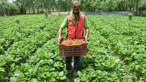 அண்ணாந்து பார்.. காலுக்குக் கீழே எதையும் தேடாதே!