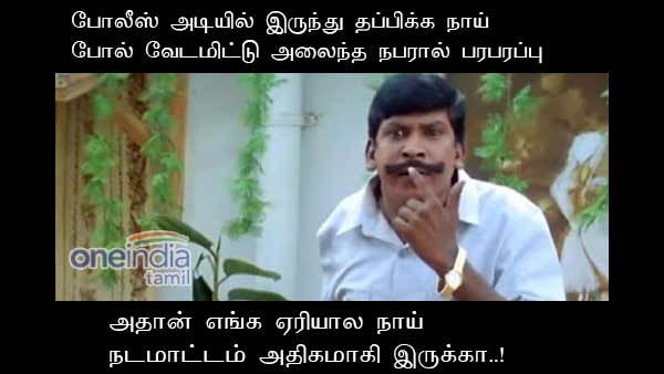 ஓஹோ... அதான் எங்க ஏரியால நாய் நடமாட்டம் அதிகமாகி இருக்கா..!