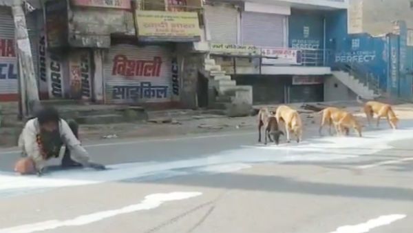 பசி கொடுமை?.. சாலைகளில் சிந்திய பால்.. தெருநாய்களுக்கு மத்தியில் குடுவையில் சேகரித்த 50 வயது நபர்!