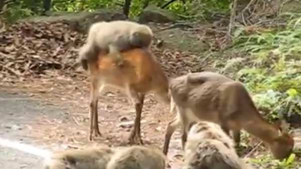 கொரோனா ஊரடங்கு... கடைசில ‘அந்த’க் கதையும் இப்போ உண்மை ஆகிடுச்சே..!