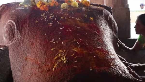 மல்லிகார்ஜூனேஸ்வரர் நந்திக்கு மஞ்சள் முக கவசம் : புத்திரபாக்கியம் வேண்டி பிரார்த்தனை 
