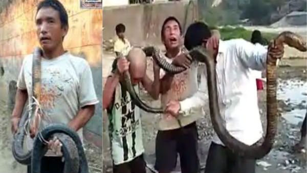 சாப்பிட எதுவும் இல்லை.. விஷ பாம்பை கொன்று.. வாழை இலையில் படையல் போட்ட மக்கள்.. ஷாக்!