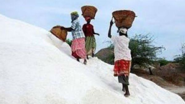 மரக்காணத்தில் ஊரடங்கால் உப்பு உற்பத்தி நிறுத்தம்.. 3500 தொழிலாளர்கள் வேலையிழப்பு