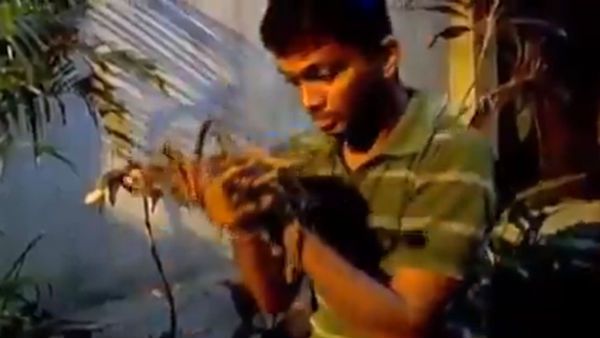 ஆவிகள் ஆயிரம்...ஜெயா டிவியில் திகில்..திகில்!