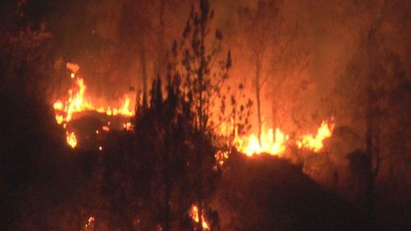 4 நாளா பற்றி எரியும் உத்தரகாண்ட் காடுகள்.. கடும் வெயிலால் தீ விடாமல் எரிகிறது!