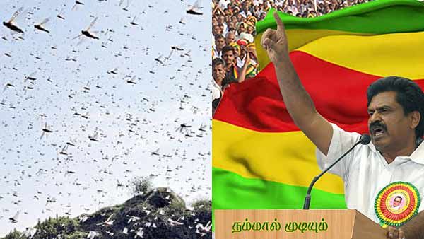 தமிழகத்திற்கு கொரோனா வராது என்றீர்கள்... இப்போது வெட்டுக்கிளிகள் வராது என்கிறீர்கள் -கொங்கு ஈஸ்வரன்