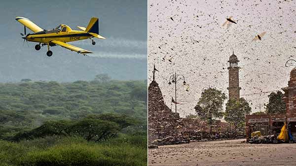 லோகஸ்ட் வெட்டுக்கிளிகளை ஒழிக்க முதல்முறையாக களம் இறங்கும் ஆளில்லா விமானங்கள்!