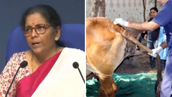 நாடு முழுக்க 53 கோடி கால்நடைகளுக்கு தடுப்பூசி போடப்படும்.. நிதி அமைச்சர் நிர்மலா அறிவிப்பு!
