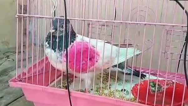 அடடே.. பாகிஸ்தானிலிருந்து உளவு பார்க்க யாரு வந்திருக்கா பாருங்க.. இப்போ வசமாக சிக்கியாச்சுல்ல