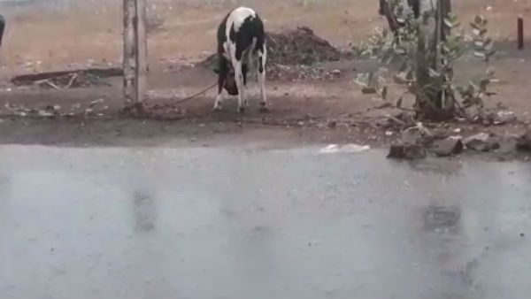 தக தக அக்னியை அணைத்த கனமழை.. ராமேஸ்வரம், தனுஷ்கோடியில் பின்னிபெடலெடுக்கும் மழை