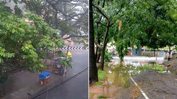 புயல் போன்ற காற்று.. வேரோடு சாய்ந்த மரங்கள்.. வெளுத்து வாங்கும் மழை.. 2வது நாளாக தடுமாறும் பெங்களூர்