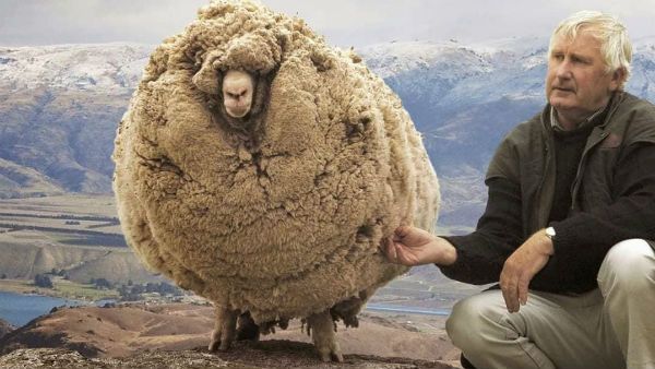 லாக்டவுன் இப்டியே தொடர்ந்தா நீங்க இப்டித்தான் ஆவீங்க பாஸ்... விஜய் ஸ்டைல்ல ஒரு குட்டி ஸ்டோரி!