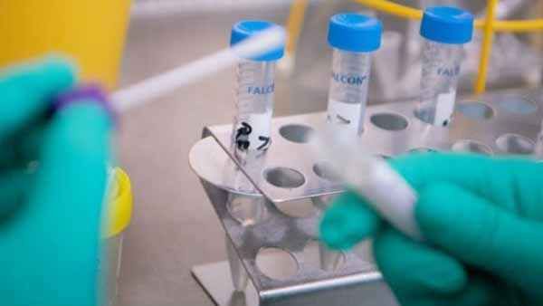 சீனாவை விடுங்க.. எல்லாம் போலி.. இதோ, தென் கொரியாவிலிருந்து தமிழகம் வந்தது 1.5 லட்சம் பிசிஆர் கிட்