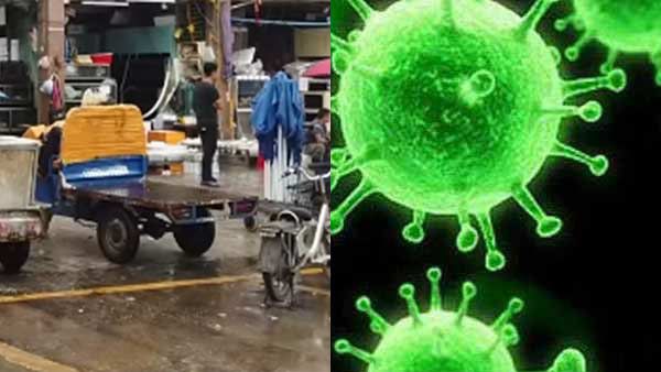வுகான் சந்தையிலிருந்து கொரோனா உருவாகவில்லை.. புதிய ஆய்வுகளால் நீடிக்கும் குழப்பம்