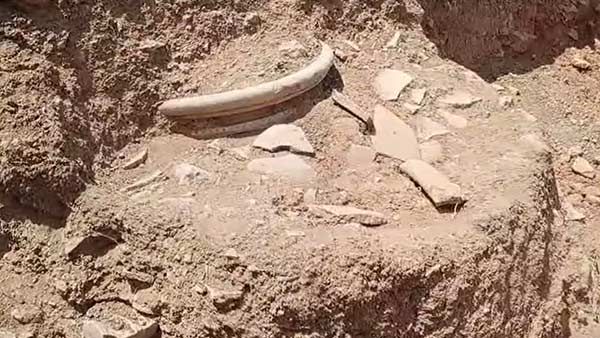 மீண்டெழும் ஆதி தமிழர் வரலாறு- ஆதிச்சநல்லூரில் 3,000 ஆண்டுகள் பழமையான 2 முதுமக்கள் தாழி கண்டெடுப்பு