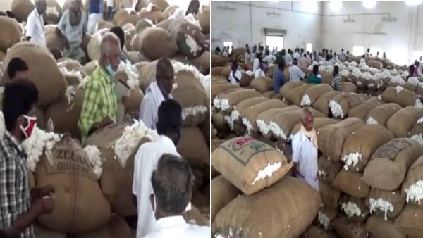 மும்பை காட்டன் மார்க்கெட்டுக்கு பருத்தி தேவை குறைவு- ஏலத்தில் விவசாயிகள் ஏமாற்றம்