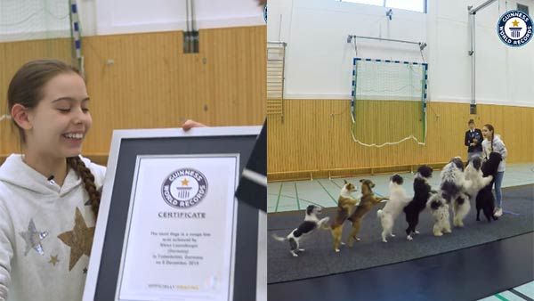 8 நாய்களை வரிசையாக நிற்க வைத்து... அட இப்டியெல்லாம் கூடவா கின்னஸ் சாதனை படைக்கலாம்!