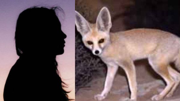 நடுக்காட்டில் பயங்கரம்.. பெண்ணின் சடலத்தை நரிகள் கடித்து சாப்பிட்டதா.. திகிலை தந்த மகாராஷ்டிரா!