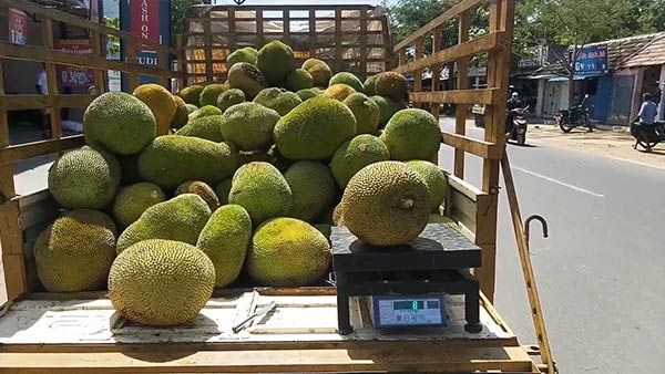 கொரோனா பரவல்.. பலாப்பழ விற்பனை மந்தம்.. வியாபாரிகள், விவசாயிகள் கண்ணீர்