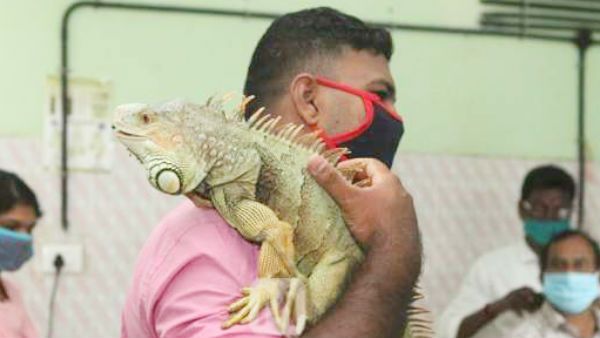 இது என்ன டிராகன் மாதிரி?.. ராட்சச பிராணியை கையில் தூக்கி சென்ற இளைஞர்.. கேரளாவில் சுவாரசிய சம்பவம்!