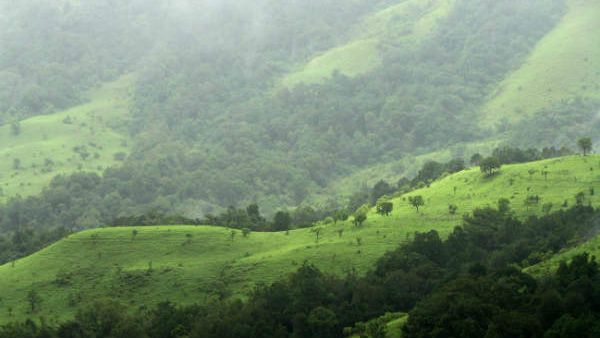 மேற்கு தொடர்ச்சி மலை மாவட்டங்களில் இடியுடன் கூடிய லேசானது முதல் மிதமான மழைக்கு வாய்ப்பு
