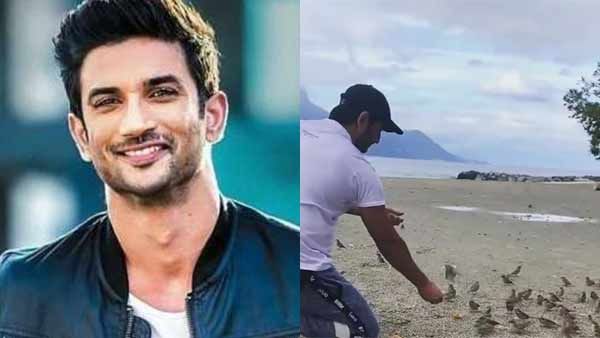 சிட்டுக்குருவிகளின் காதலன் சுஷாந்த் சிங்...நிறைவேறாத கனவுகளுடன் மரணத்தை தழுவியது ஏன்