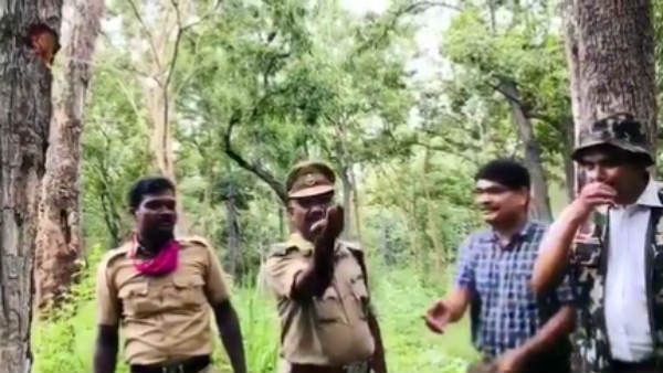 மரத்தைக் கீறினா.. கொட்டுது பாருங்க தண்ணீர்.. ஆஹா இயற்கையின் பெரும் கொடை!.. வைரலாகும் படம்