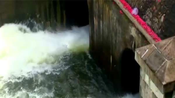 தென்மேற்கு பருவமழை தீவிரம்- பேச்சிப்பாறை, பெருஞ்சாணி, சிற்றார் அணைகளில் பாசனத்துக்கு நீர் திறப்பு